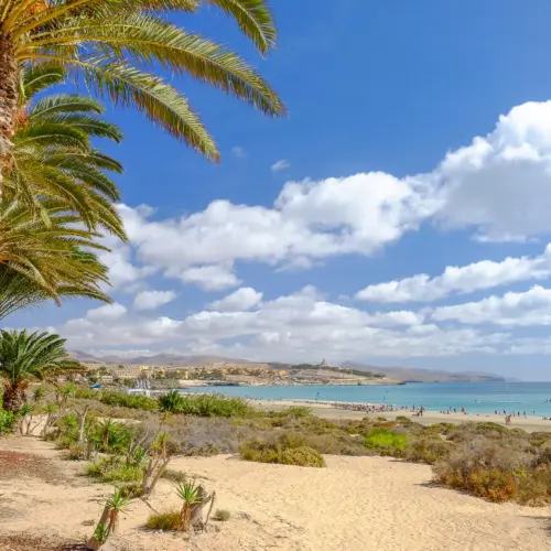 iStock-871001984costa calma_result